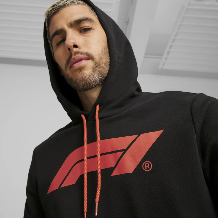 Formula 1 ESS Logo Sudadera con capucha 🔥