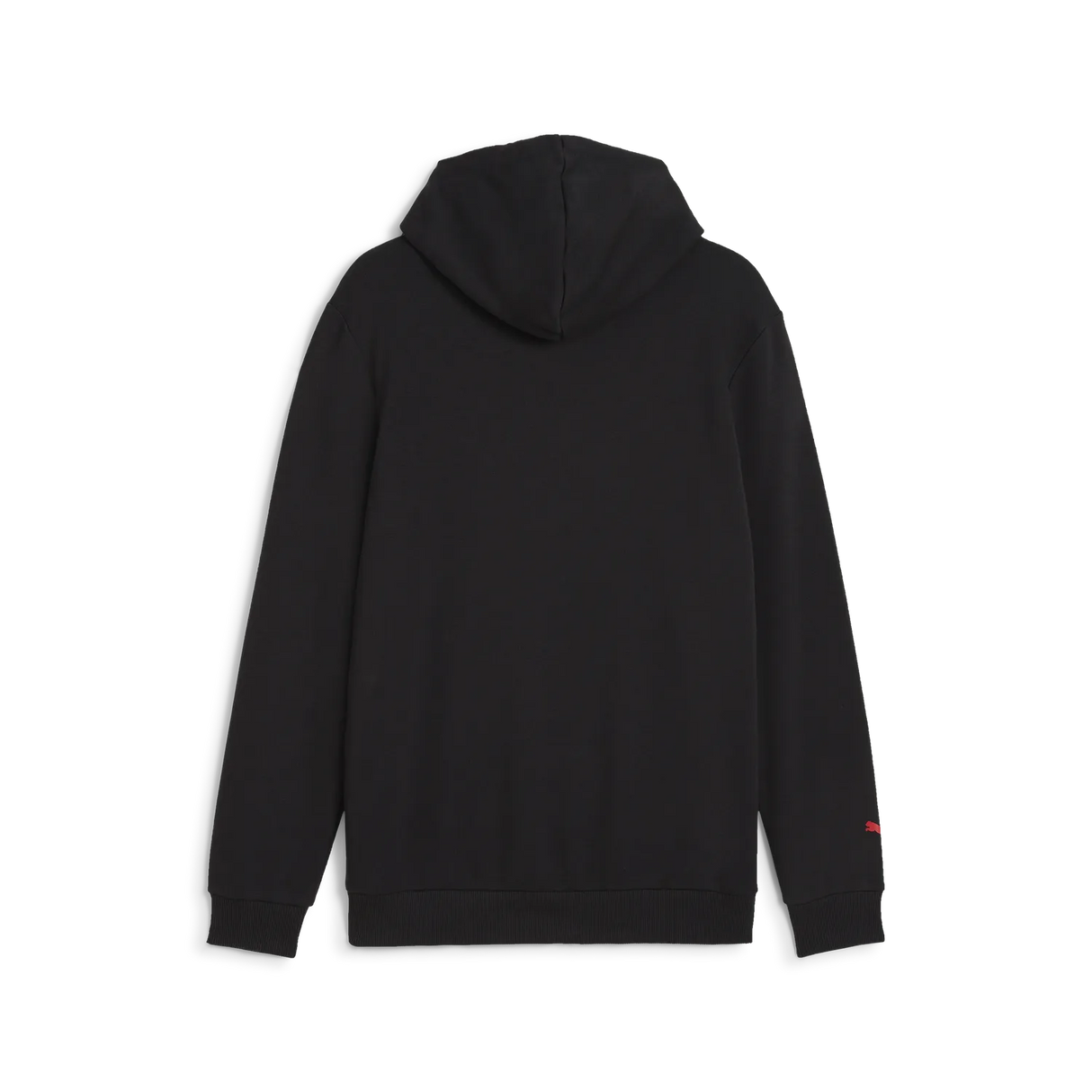 Formula 1 ESS Logo Hoodie 🔥