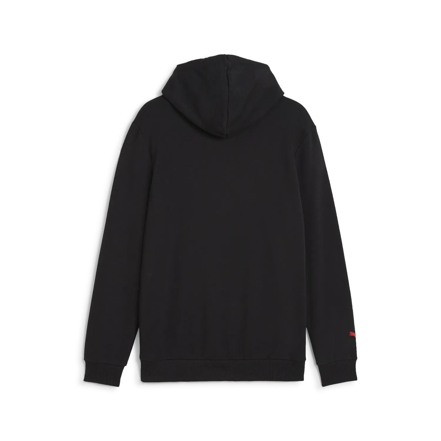 Formula 1 ESS Logo Hoodie 🔥