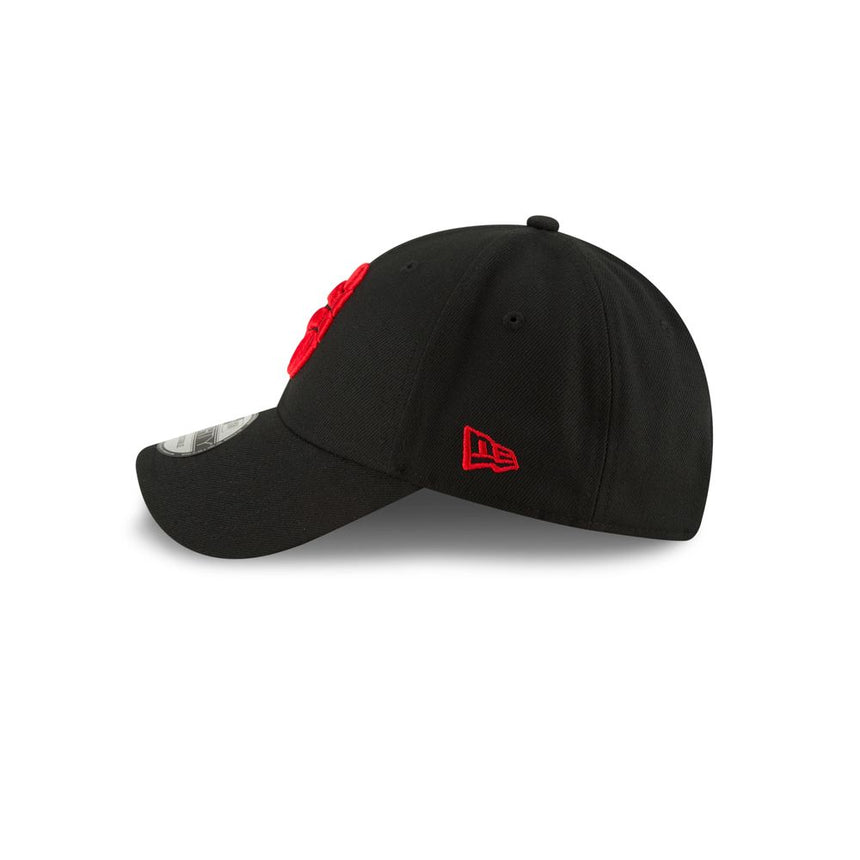 NBA Toronto Raptors Gorra Team