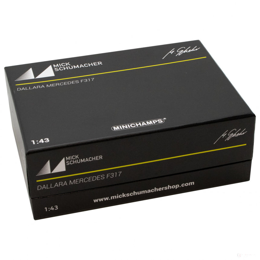 Auto modelo, Mick Schumacher Dallara Mercedes F317 F3 European Champion 2018, 1:43, Blanco, 2018 - FansBRANDS®