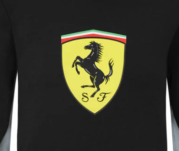 Ferrari Shield Nino Camisa de entrenamiento, Negro, 2021